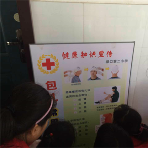 江宁区禄口第二学校红十字会开展急救教育宣传活动